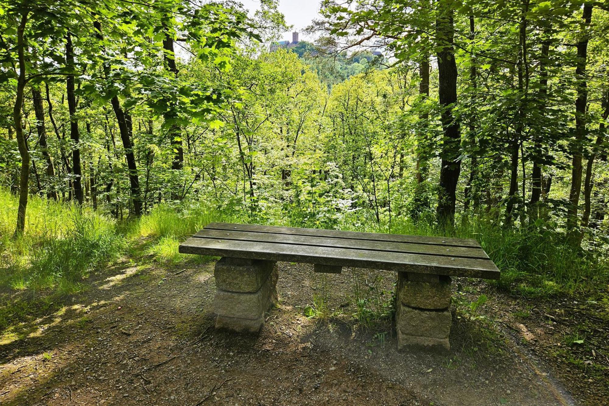 Ferienwohnung Villa Funcke Eisenach Bagian luar foto